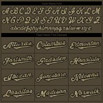 Benutzerdefiniertes Olive Camo-Schwarz Authentic Salute To Service Baseball-Trikot Benutzerdefiniertes Olive Camo-Schwarz Authentic Salute To Service Baseball-Trikot